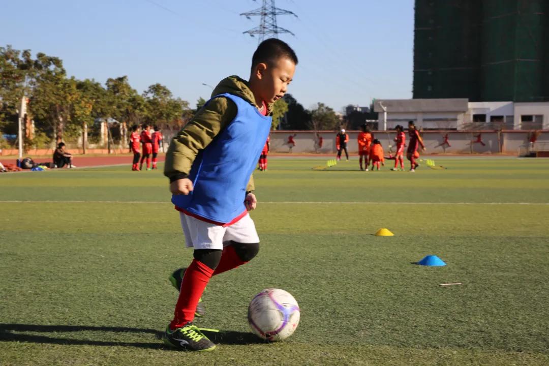 我为群众办实事学习教育主题活动,我为群众办实事教育视频