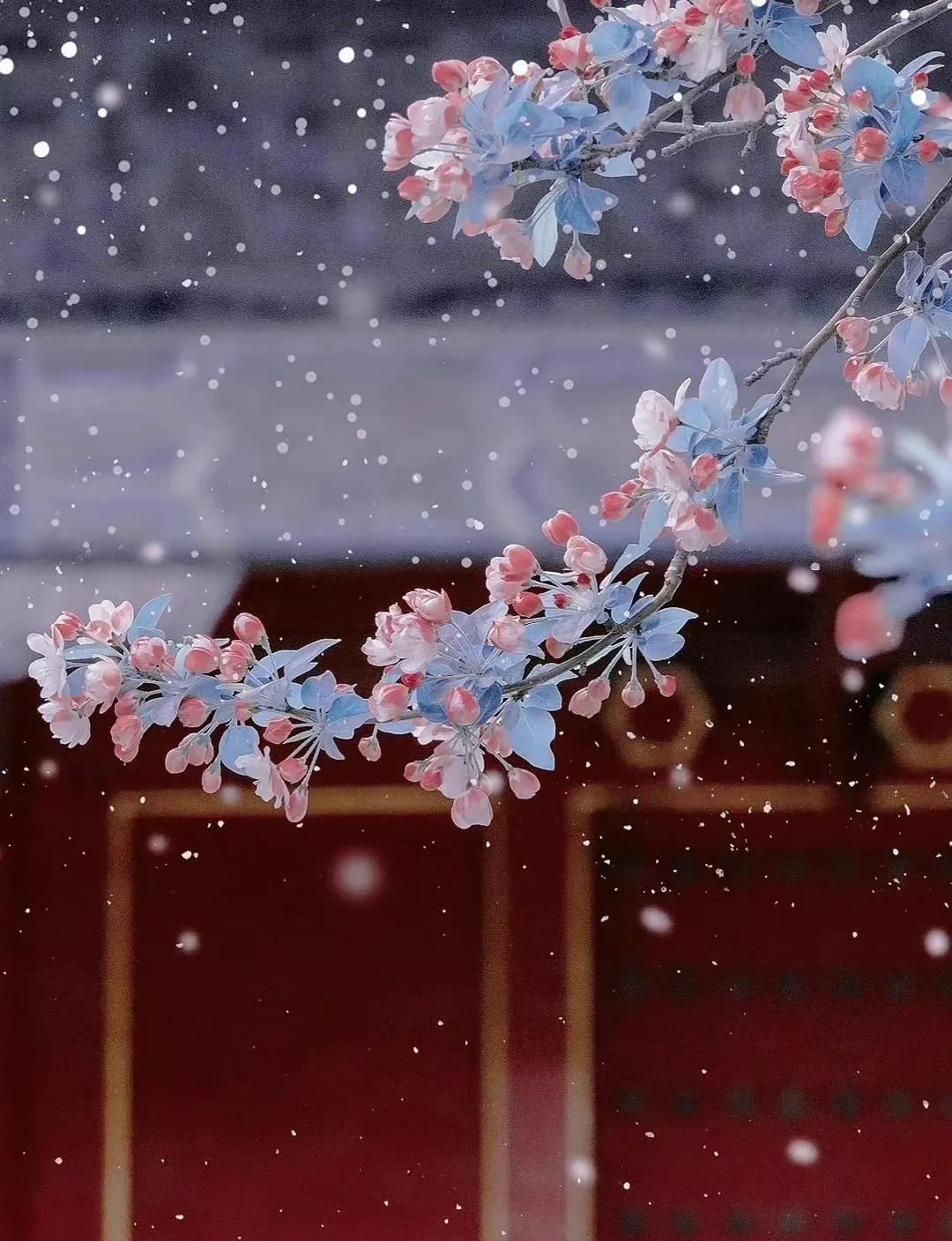 年年岁岁春去秋来,年年岁岁盼新春