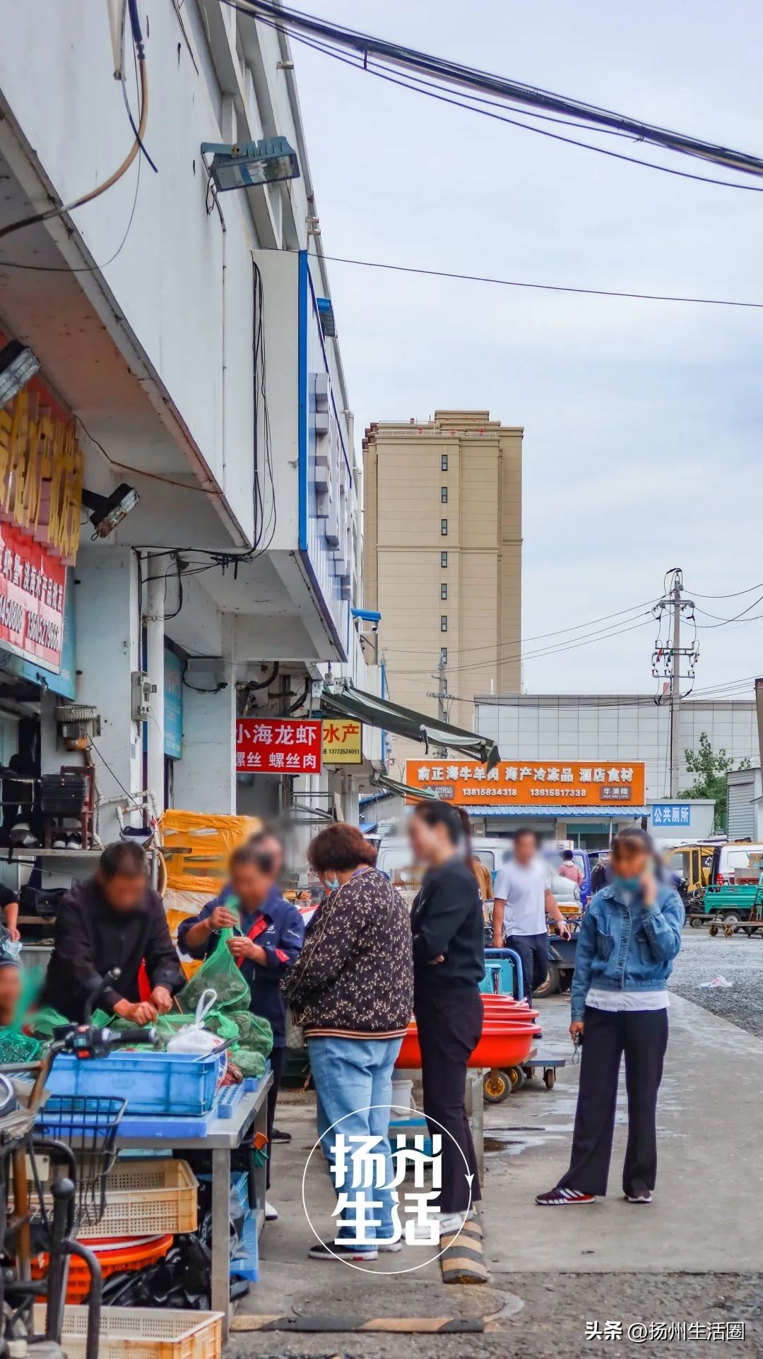 不吃一顿螃蟹，扬州人过不好这个秋天