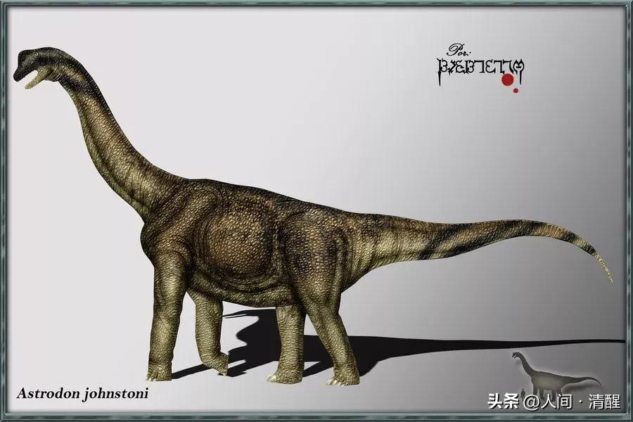 蜥脚类恐龙都有哪些呢,蜥脚类恐龙大小比较图