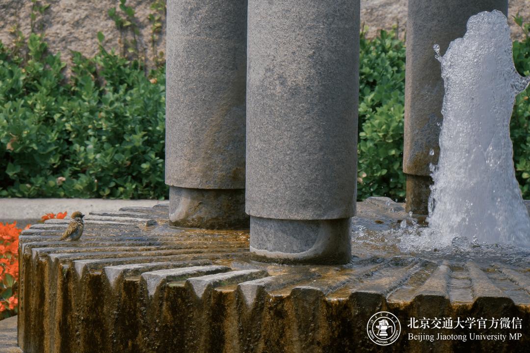 饮水思源的经典句子,饮水思源成语故事