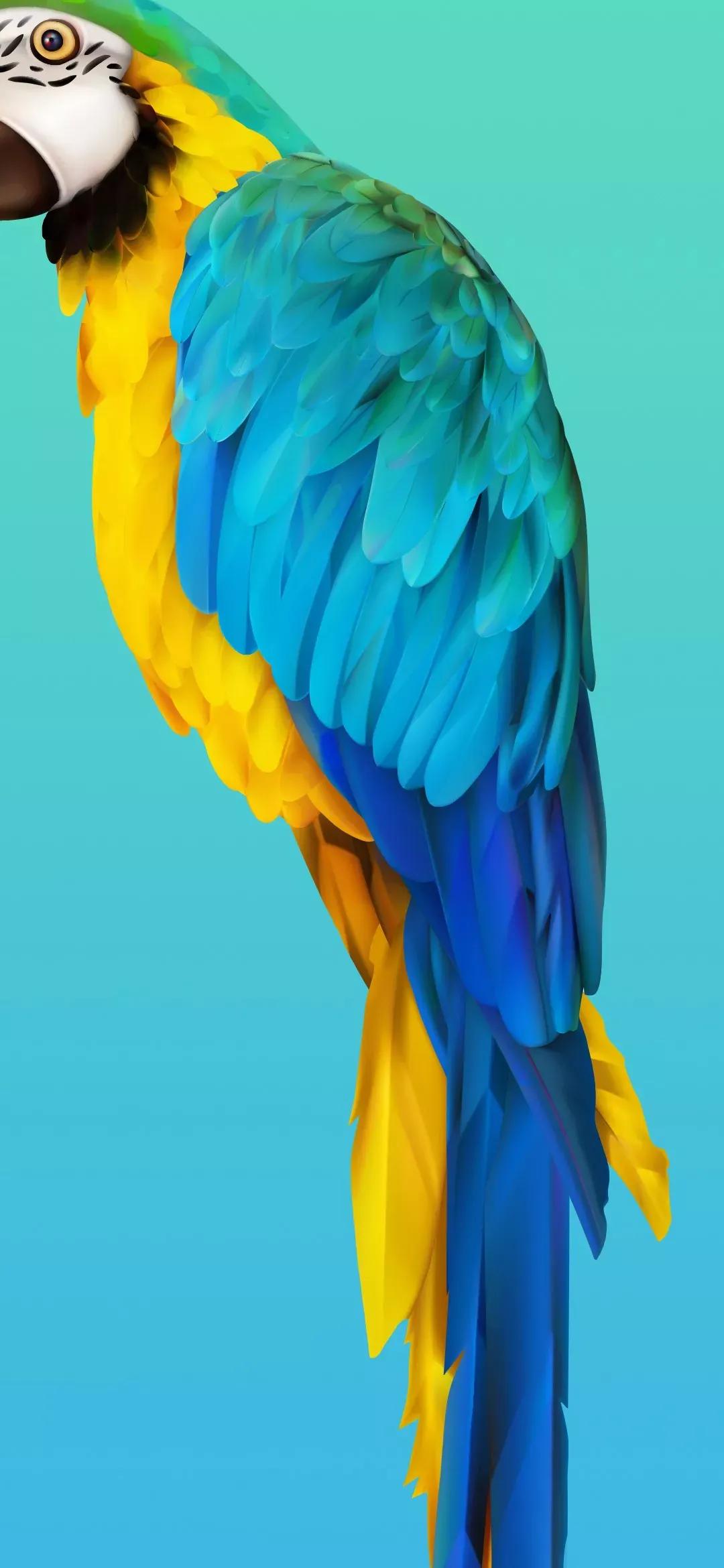 原图壁纸：Andriod手机挖孔壁纸,第一期