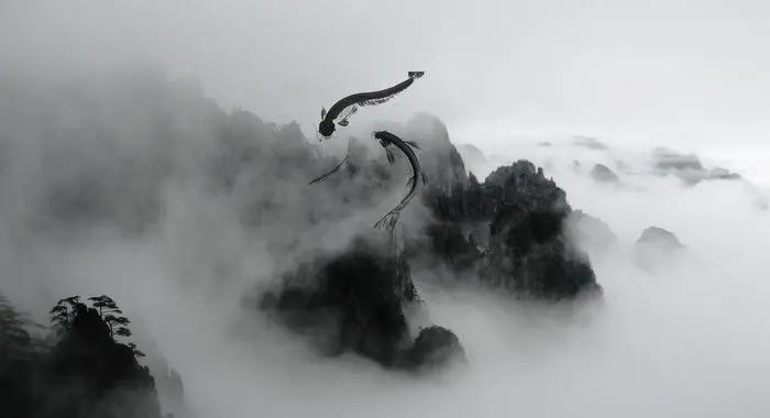 寄得纸间生碧色,一朝圆梦散风樯:梧桐院诗词第六期(七律·道)