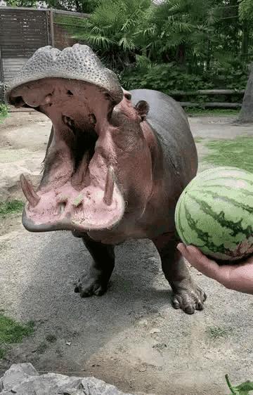 好不容易把钱还完了,好不容易把债还完了