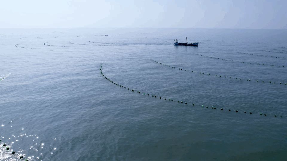 这座不起眼的山东小城，搞生蚝能有多猛？