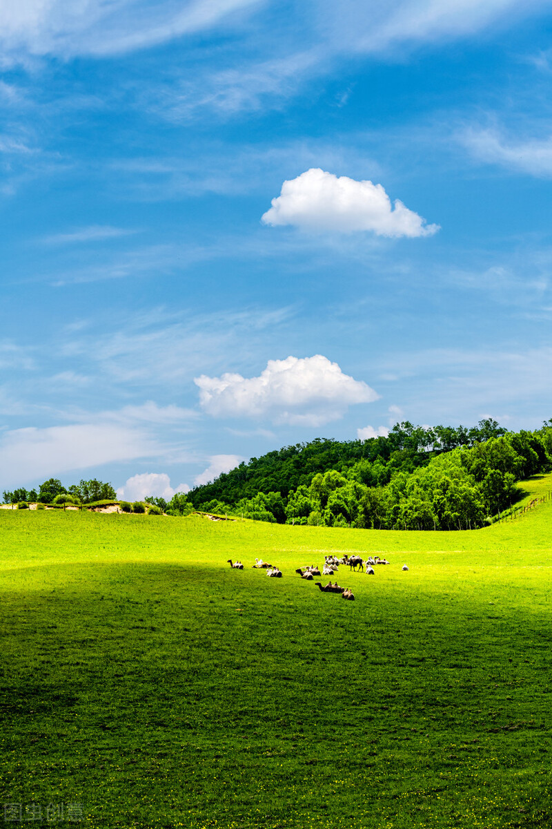 职业病矽肺病一期赔偿是多少,职业病矽肺能治疗吗