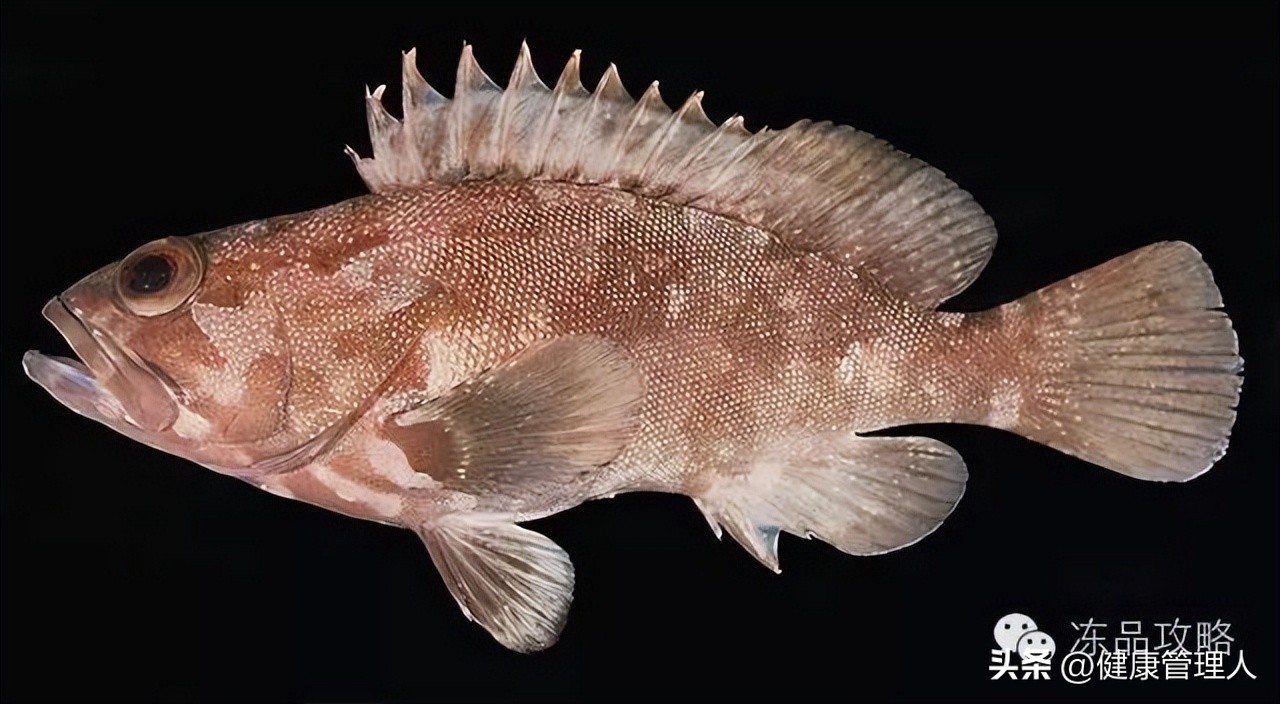 美容护肤食疗方案,美容护肤养生介绍