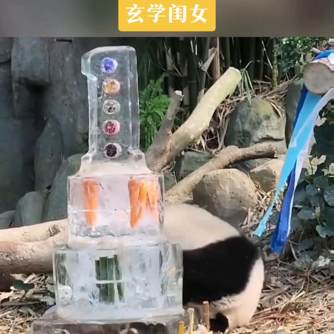 小说推文深入交流,草莓尖尖小说推文