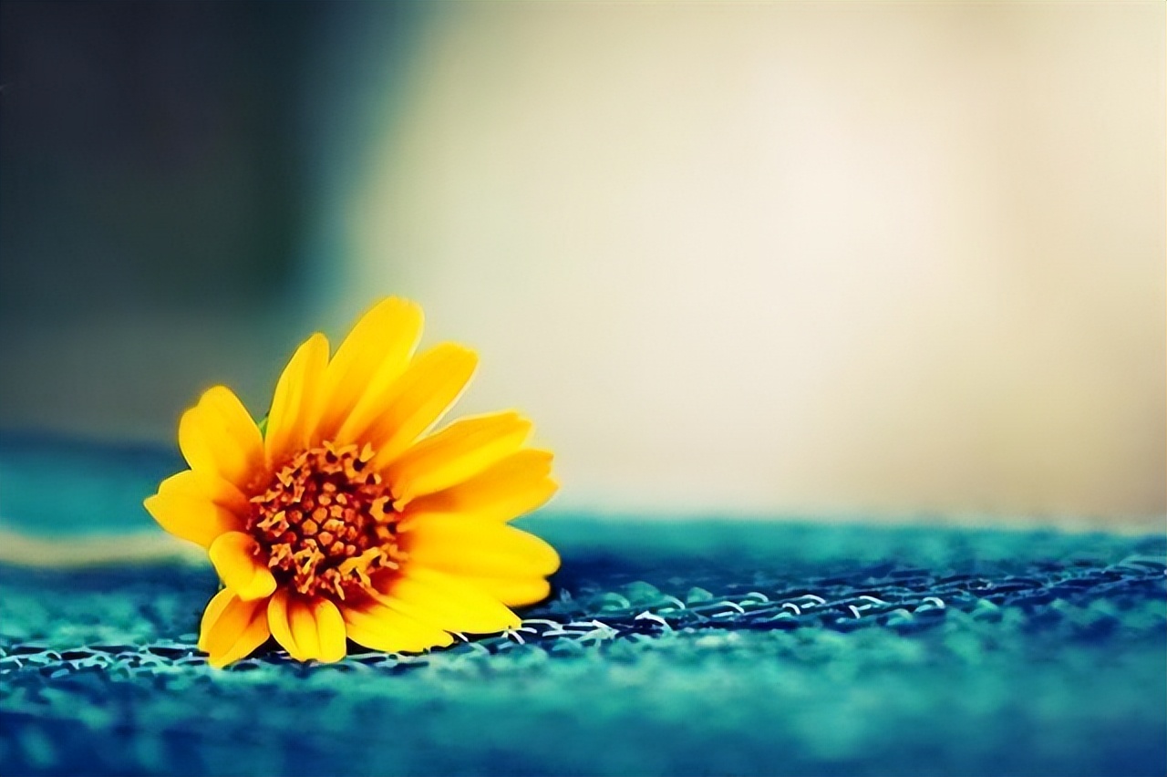 一个家庭慢慢走向衰败的前兆,家庭的衰败取决于5个根本