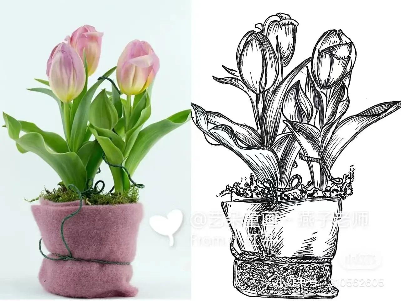 美术素材大合集,个人创意美术素材分享