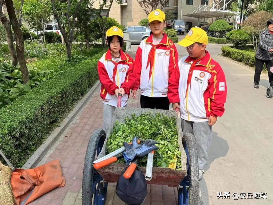 五一劳动节劳动最光荣小学一年级,小学五一劳动节社区劳动实践