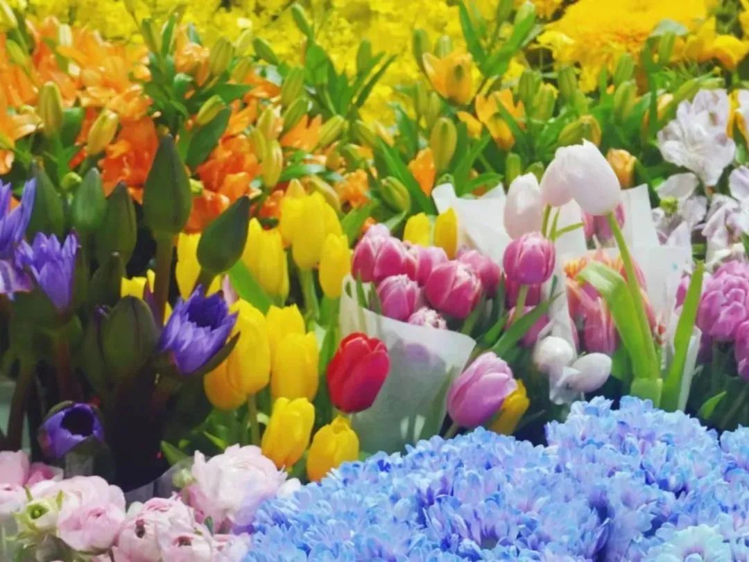 济南春天看花好去处,来济南买金子