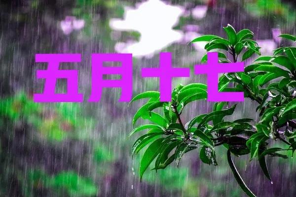 五月十七号立夏了吗,五月十七日降雨量
