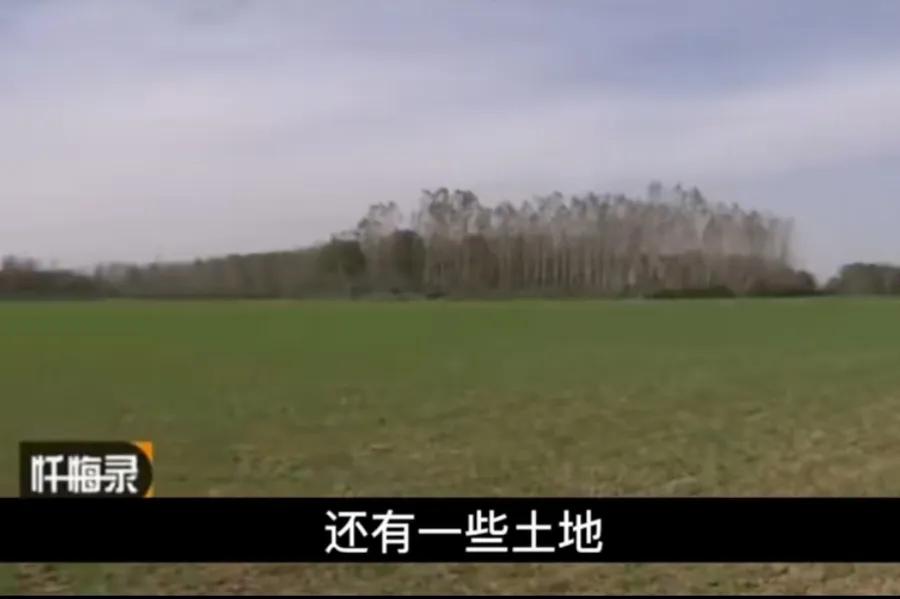 河南许昌灭门案全集,河南许昌一家四口灭门案全部过程