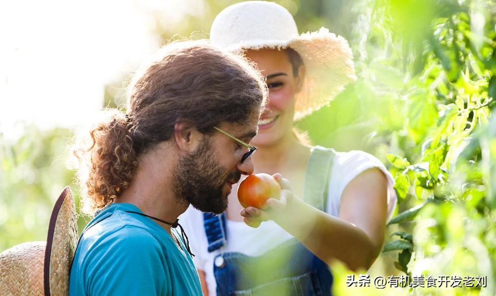 番茄怎么储存才能保持营养,番茄怎么储藏的时间长