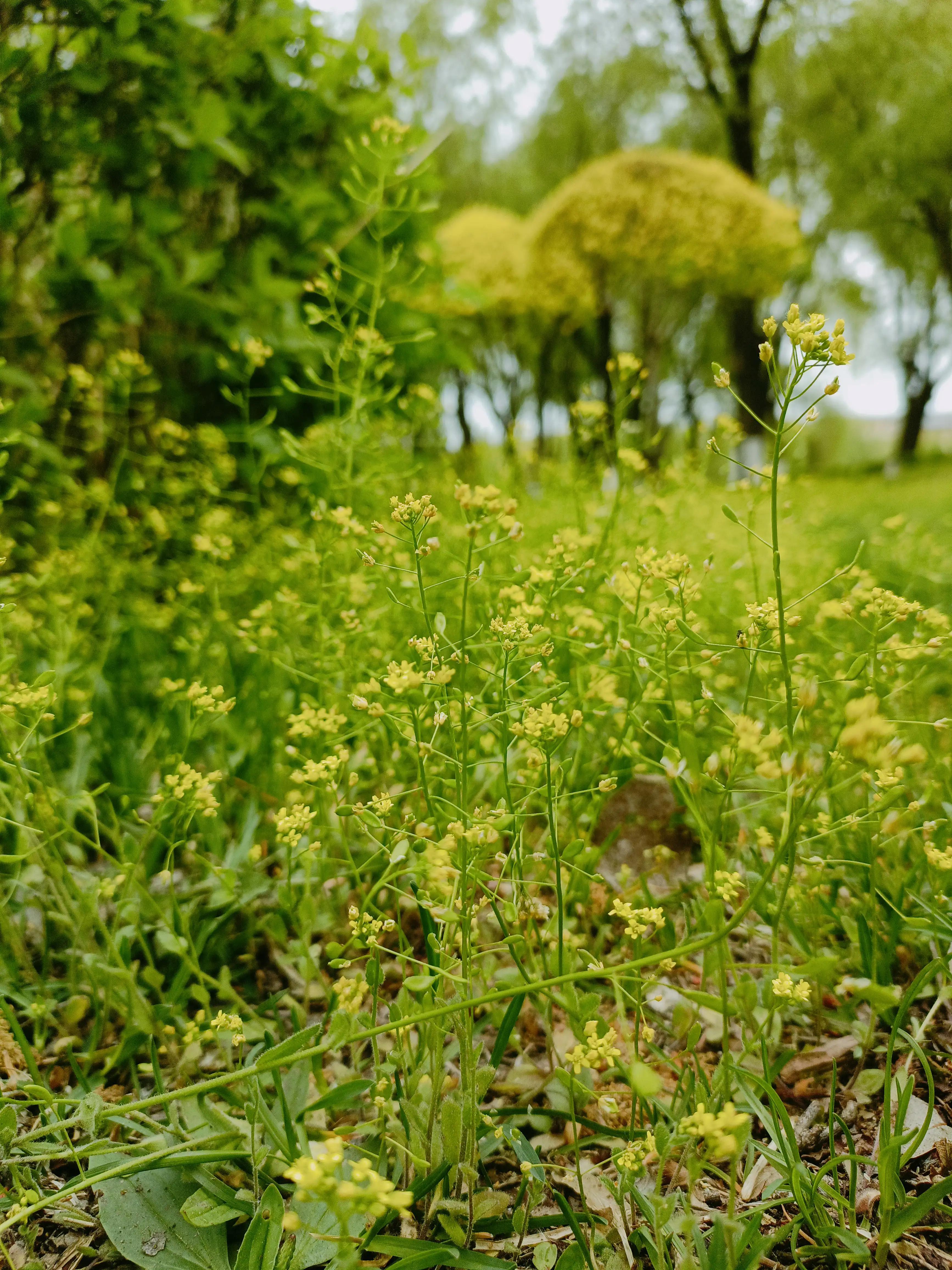 带孩子去自然博物馆看昆虫,带小朋友到大自然看昆虫