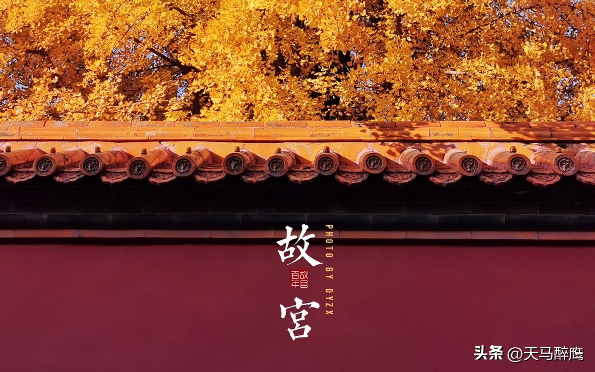 中国十大最受欢迎旅游目的地,广西旅游必去十大景点都有哪些呢