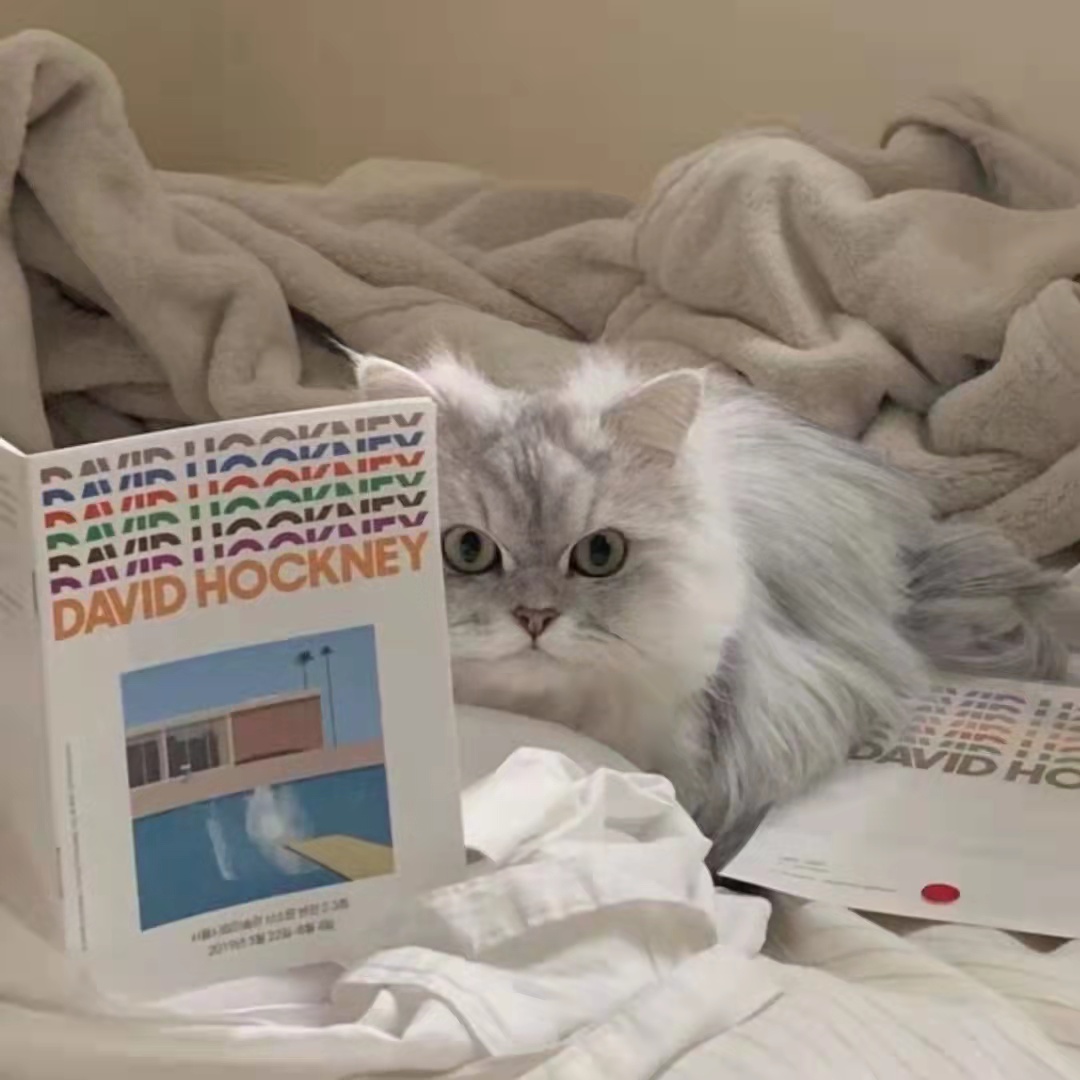 既温柔又高质量的文案,高级且温柔的文案