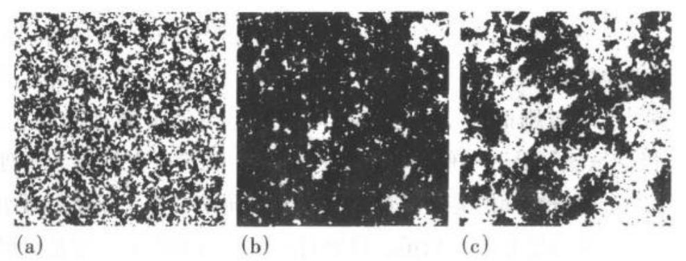 股市发展趋势的10个基本判断,股市趋势的本质是什么