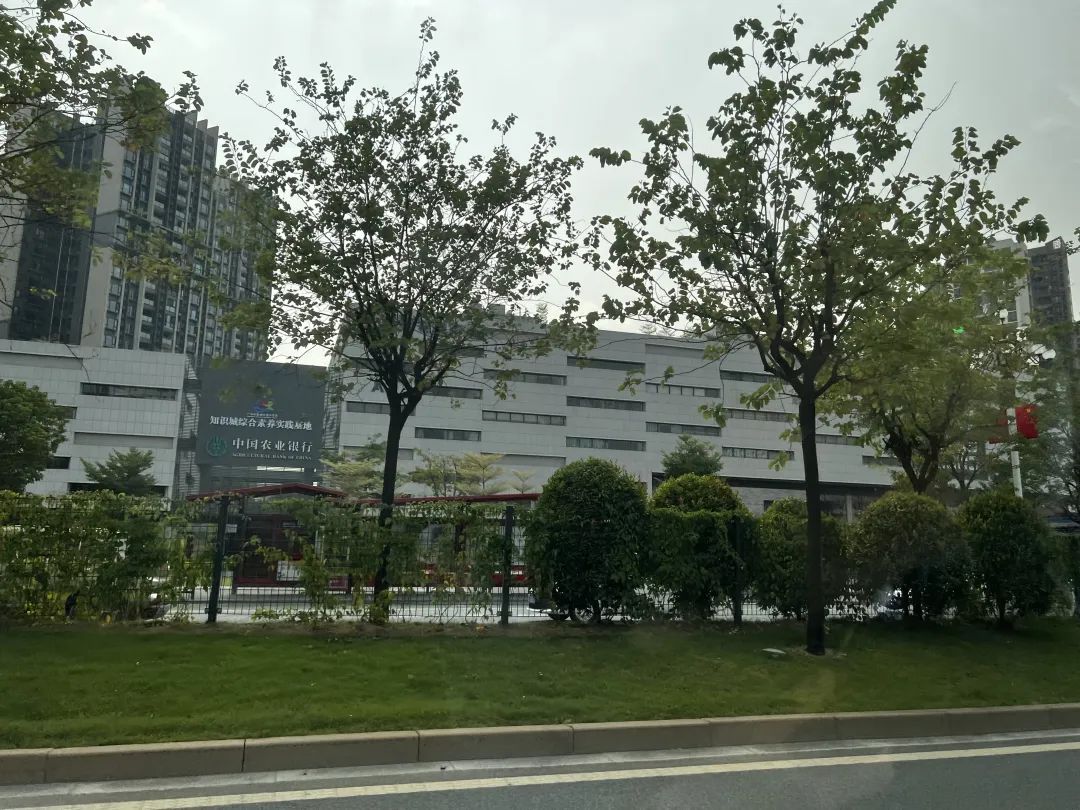 知识城CEO不够用？呵呵哒，他们工资你知道吗