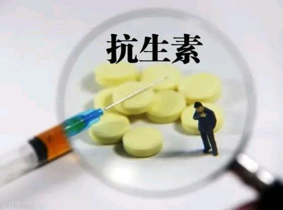 阿莫西林和头孢对细菌感染哪个好,消炎药阿莫西林和头孢怎么选择