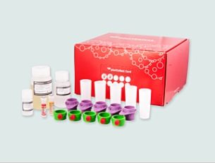 安诺伦生物,安诺伦生物科技有限公司