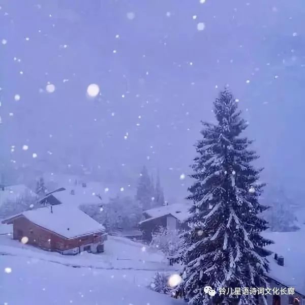 星语原创诗歌全集,星语作品全集