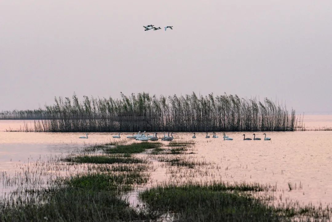 南京景色视频,南京景色作文