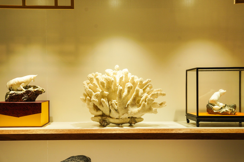 宿州靠谱的景点,宿州市埇桥区小众景点