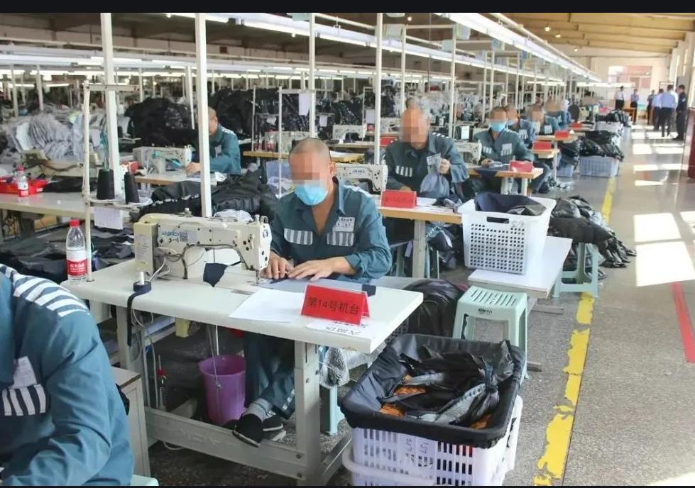 老公坐牢10年我怎么办,老公坐牢12年该怎么办