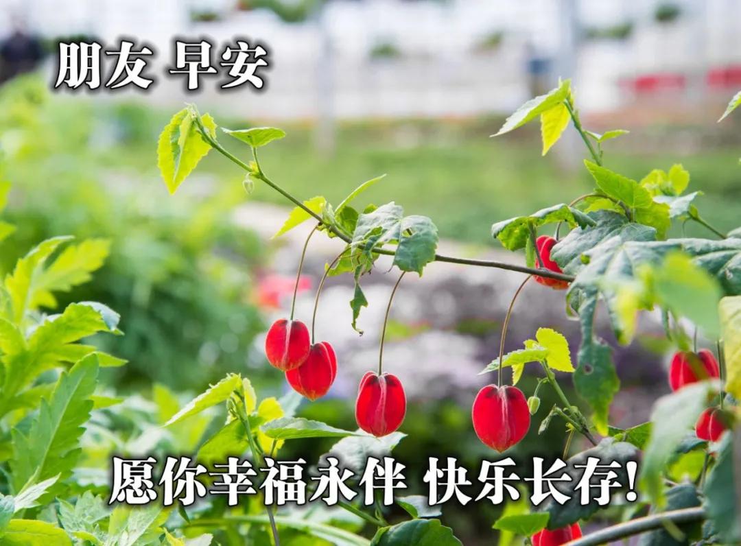 早安愉快带字动态图片,最好看的早安动态图片大全