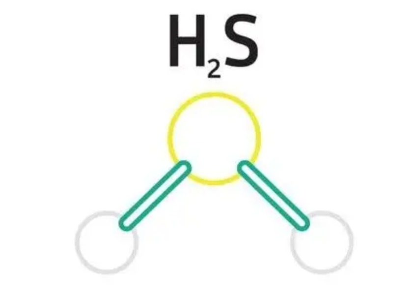 电击身亡事件,硫化氢中毒最大事故