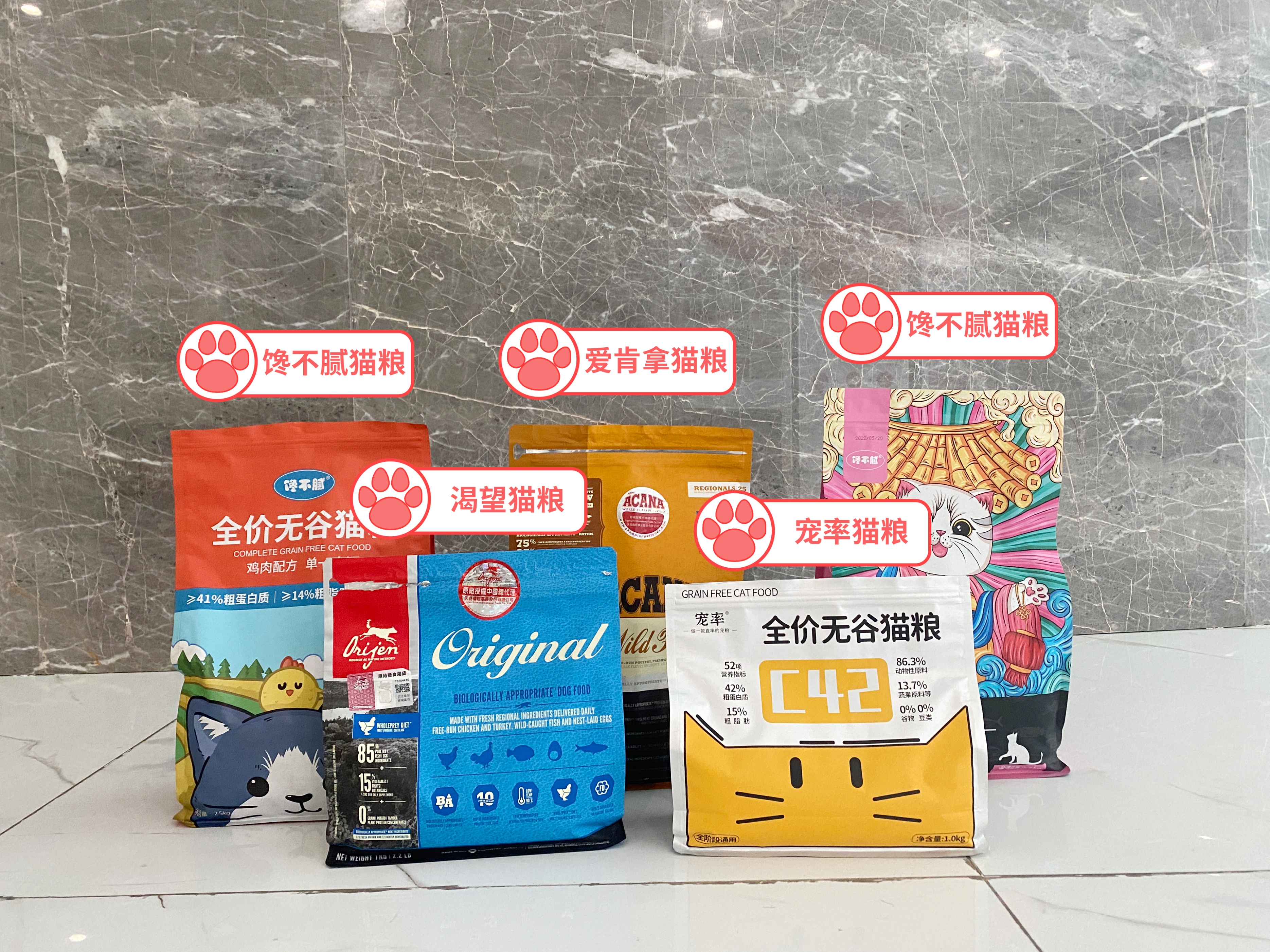 最不建议养的10种猫,猫界中哪只猫脾气最差