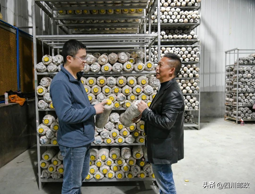 什邡师古乡村振兴,西部贫困县如何做好乡村振兴