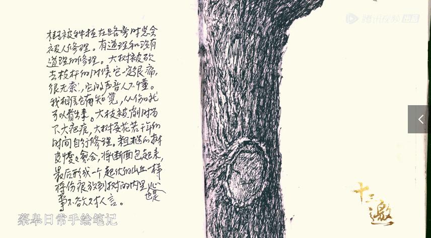 连她都敢请,这档综艺怎么想的