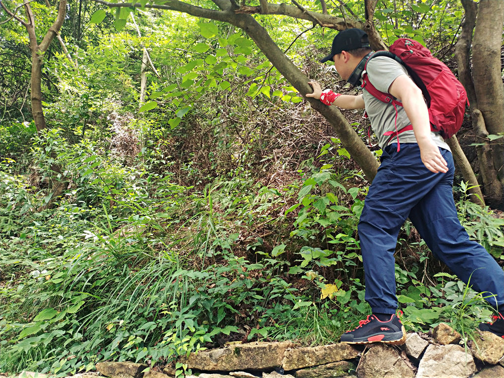 为专业而设计：OUNCE遨游仕始林蜥攀爬接近鞋