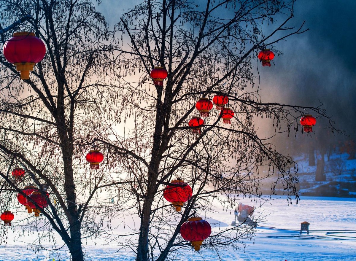 冬日黑龙江五日游,黑龙江立体冬游攻略