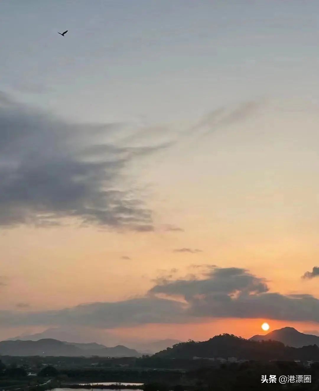 我在香港搬进一个带花园的房子后，直接瘦了六斤……