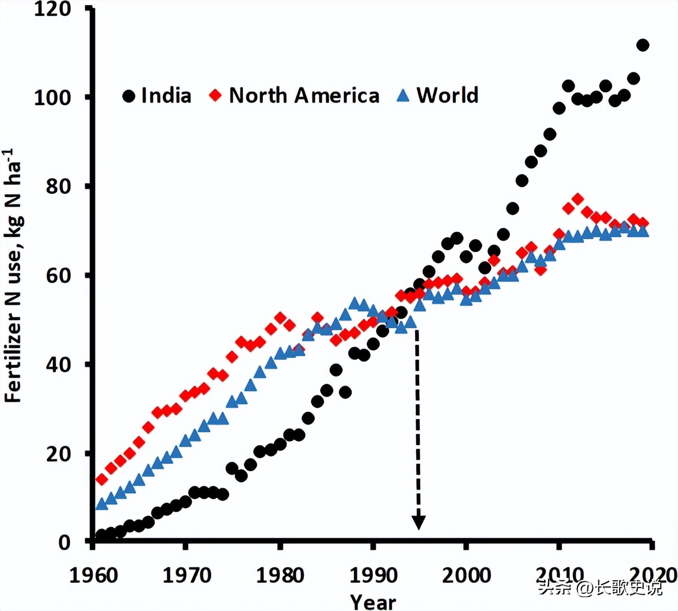 旱作马铃薯栽培技术试验,单垄单行马铃薯高产种植技术