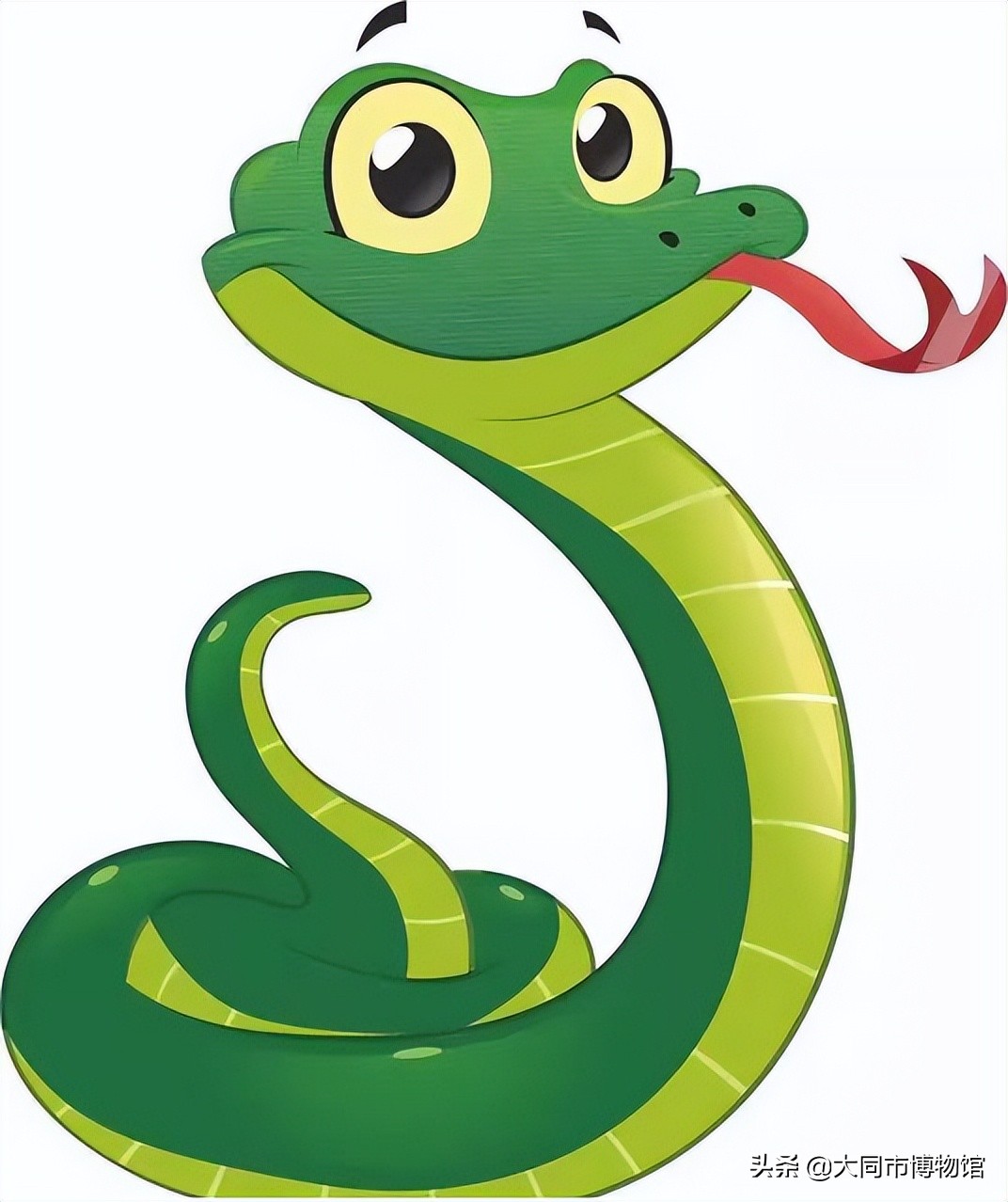 十二生肖辰龙纹身图,十二生肖哪个动物有纹