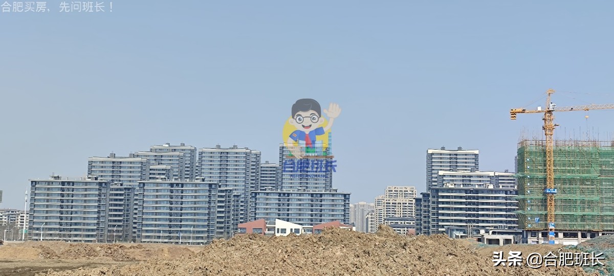 大力开发的滨湖西成色如何，班长跑遍16个项目带你看真实的板块