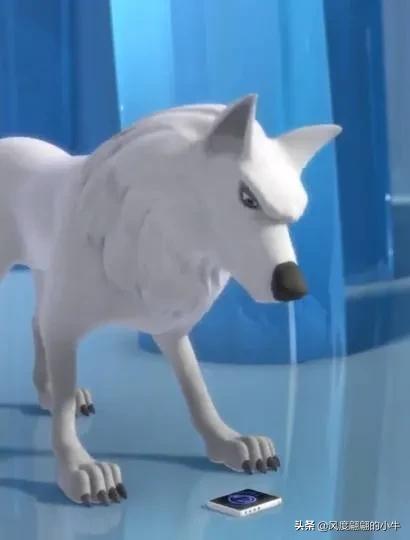 熊出没最厉害的角色,熊出没历代角色大全