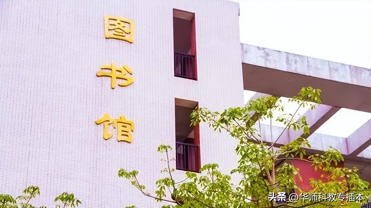 华南农业大学珠江学院信息工程,华南农业大学珠江学院形势与政策