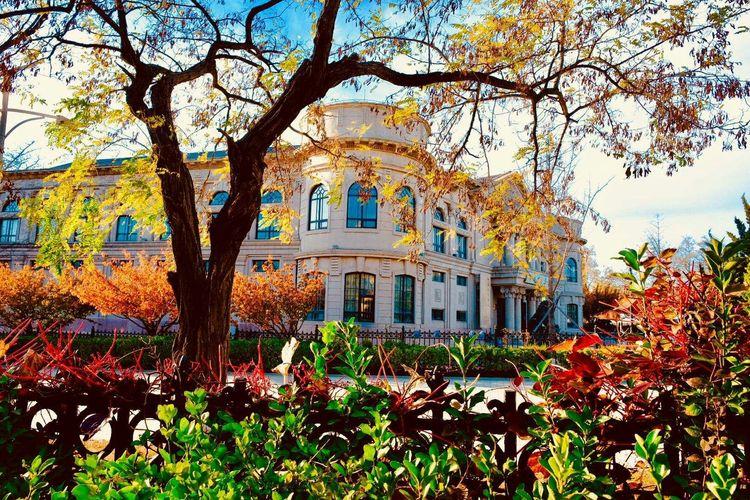 大连旅游攻略3天2夜住宿,大连旅游攻略视频