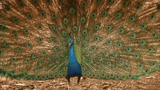 哈尔滨玩的地方推荐道里,梦幻漠河哈尔滨深度游