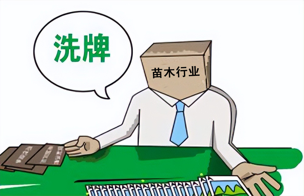 荒山种什么树木经济效益好,山东蒙阴承包荒山10元一亩