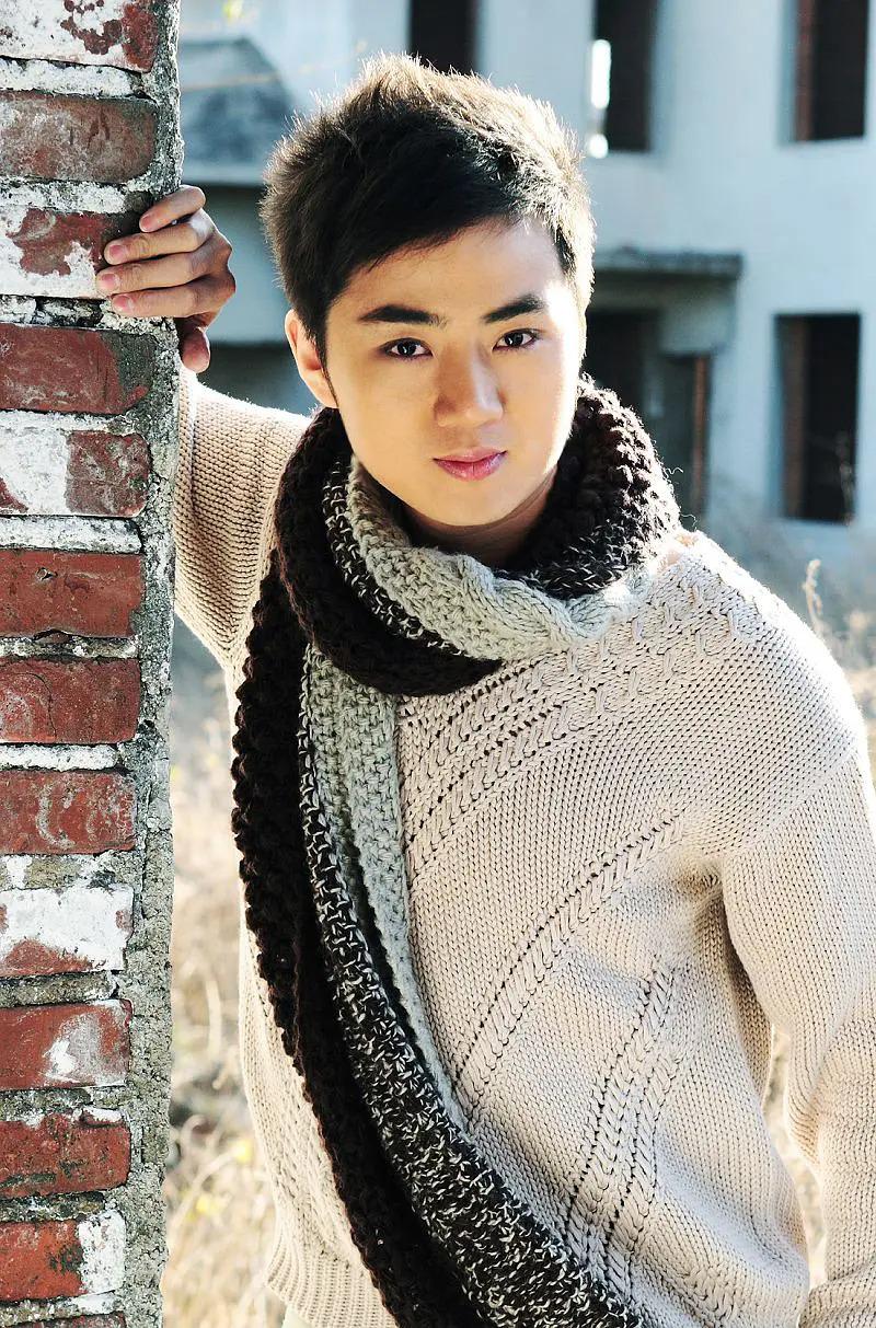 余少群当年有多火,余少群的巅峰时期