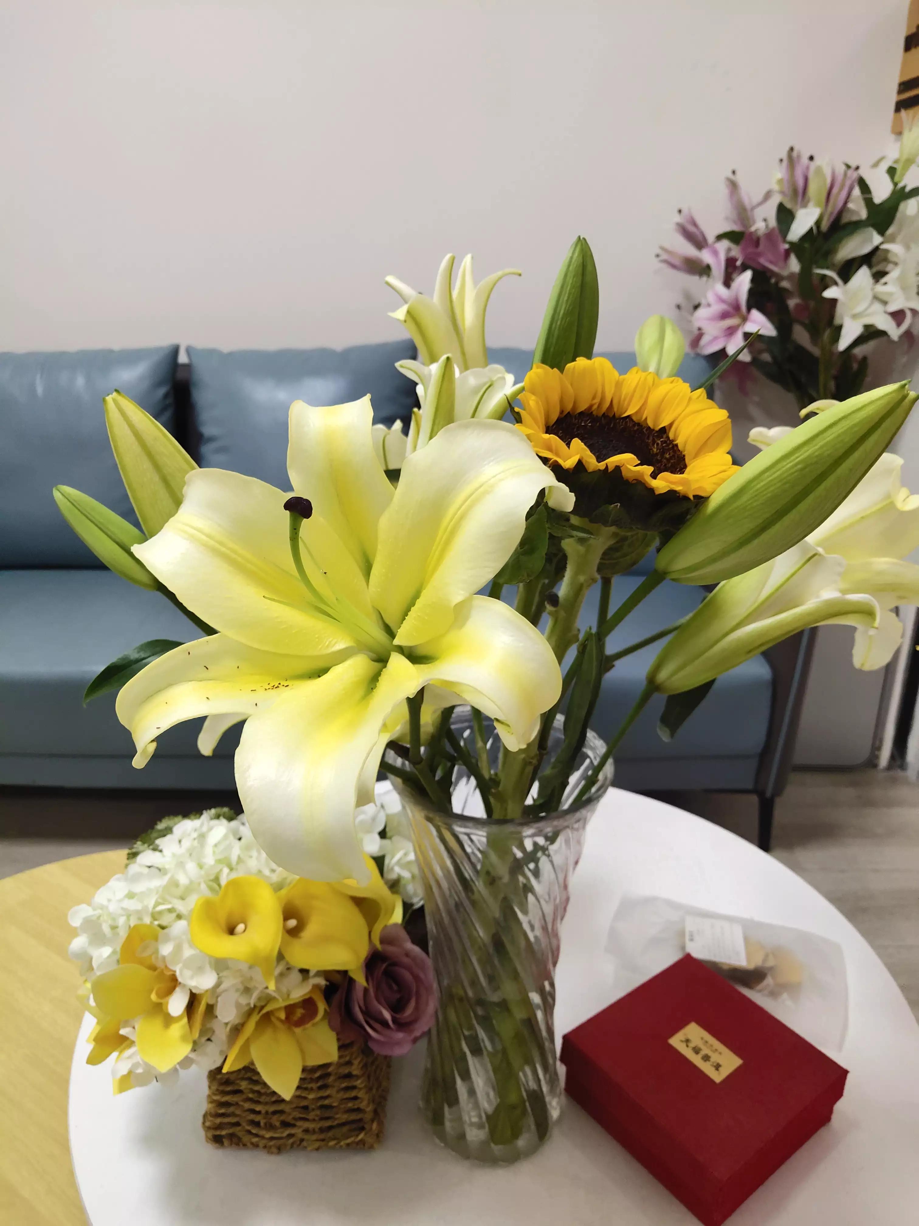 中将被死亡掌门人被带走，俄乌战、国足乱揪心及荒诞！