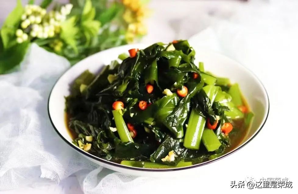 异域风情的漂亮植物,好看又清雅的植物