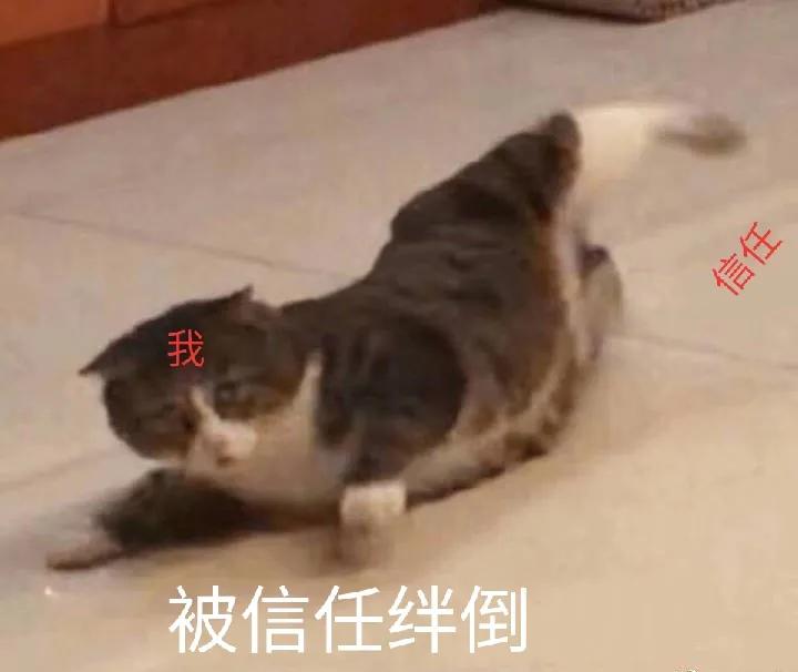 15岁少女网上聊天被骗,14岁女孩网络聊天被骗